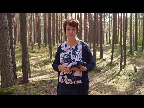 Видео: 867. Как молиться за сына, чтобы вывести его из зависимости?