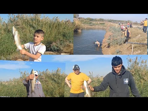 Видео: Мохи капи саршуд ФУРУШИ белый Амур толусталоп