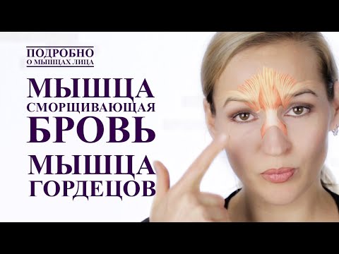 Видео: КАК УБРАТЬ МЕЖБРОВКУ.  МЫШЦА СМОРЩИВАЮЩАЯ БРОВЬ