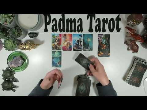 Видео: БЛИЗНЕЦЫ ♊️ ЕСЛИ ЕСТЬ ЖЕЛАНИЕ, ТО ЕСТЬ И СПОСОБ! 17-23 НОЯБРЯ Еженедельное гадание на картах Таро 💫🔮