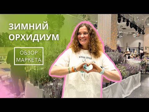 Видео: ОРХИДИУМ Зима 2024