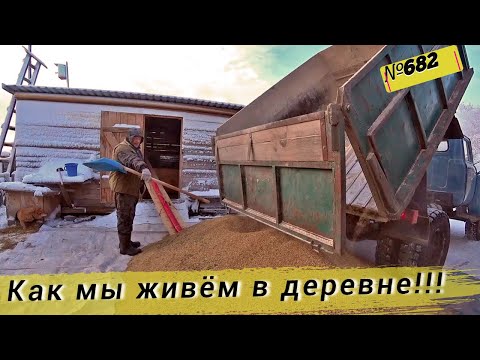 Видео: Как мы с женой работаем в деревне.  Наши будни Омской Деревне.