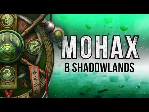 Видео: Монах в Shadowlands. Изменения в отрицательной динамике.