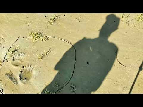 Видео: Лоухи - Белое Море - Лоухи (31 июля - 5 августа 2023 г)