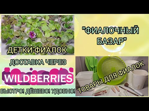 Видео: "ФИАЛОЧНЫЙ БАЗАР".