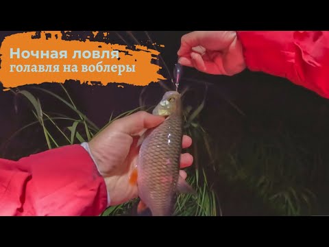 Видео: Ночная ловля голавля на воблеры кренки