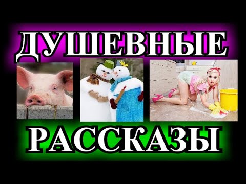 Видео: ДУШЕВНЫЕ И ОПТИМИСТИЧЕСКИЕ    РАССКАЗЫ❤️СНЕГОВИХА❤️ЛЮСЯ❤️У РОМАНА ГРУСТНЫЕ ГЛАЗА @TEFI РАССКАЗЫ