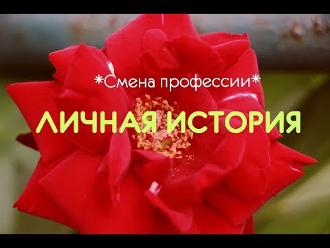 Видео: Моя История о смене профессии