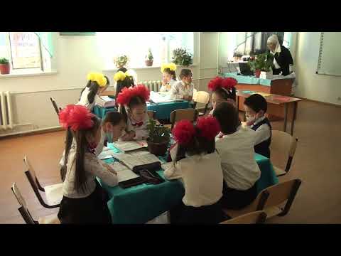 Видео: Байғон Гүлмира