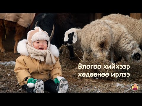 Видео: 🌸 Би нь влогоо хийхээр хөдөөнөө ирлээ🥰