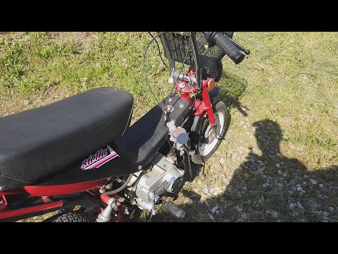 Видео: Лучший транспорт для дачи/Мини мокик Stella с двигателем от питбайка