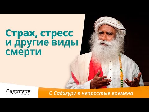 Видео: Страх, стресс и другие виды смерти