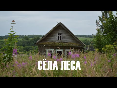 Видео: Сёла леса. Как живут и вымирают тверские деревни