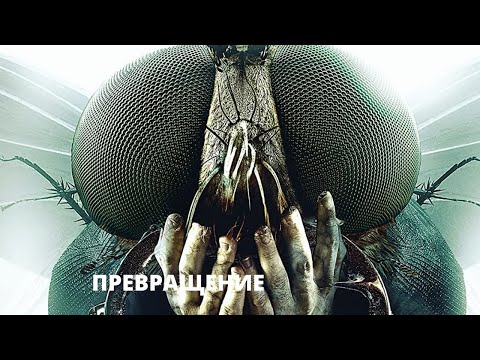 Видео: ПРЕВРАТИЛСЯ В ЖУТКОЕ НАСЕКОМОЕ! Превращение. Лучшие фильмы. Filmegator