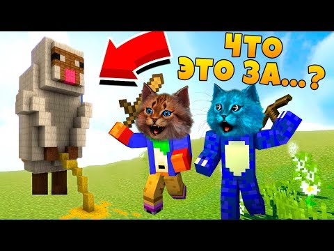Видео: ЖИЗНЬ КОТИКА НУБА ! МАЙНКРАФТ В РЕАЛЬНОЙ ЖИЗНИ ВИДЕО ТРОЛЛИНГ MINECRAFT КОТИК ИГРОМАН И КОТЁНОК ЛАЙК