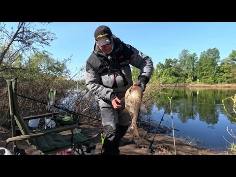 Видео: Поклёвки Леща ТОЛЬКО на БУТЕРБРОД! Рыбалка на Фидер в Городе!