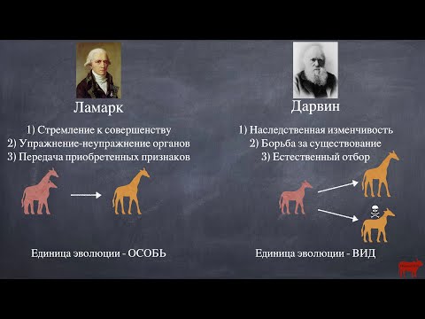 Видео: Эволюционные теории Ламарка и Дарвина