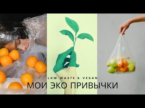 Видео: Как Я Могу Помочь Планете (что я делаю для экологии и ты можешь тоже)