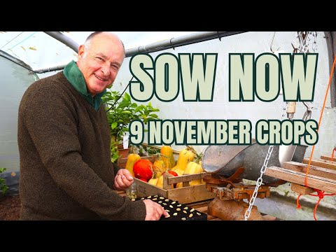 Видео: 9 семян для посева в ноябре ПЛЮС наш новый календарь посева овощей