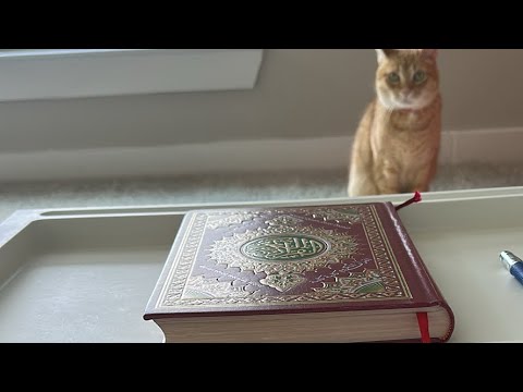 Видео: Daniella Дана Yussupbek is live!