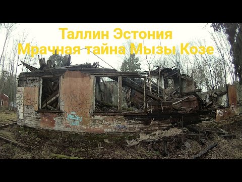 Видео: Таллин Эстония | Мрачная тайна Мызы Козе
