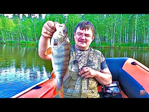 Видео: Рыбалка в кувшинках на блесну