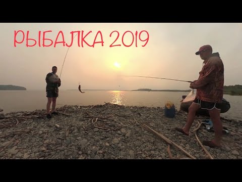 Видео: Рыбалка, эмоции, выезды уходящего 2019