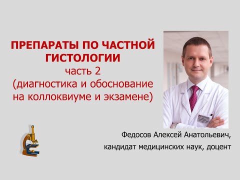 Видео: ПРЕПАРАТЫ ПО ЧАСТНОЙ ГИСТОЛОГИИ. Ч. 2 (диагностика и обоснование на коллоквиуме и экзамене)