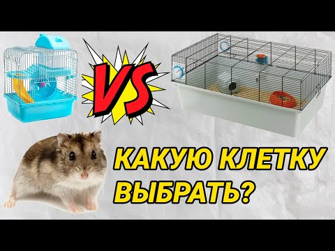Видео: Как выбрать клетку для хомяка? Минимальный размер клетки для сирийского и джунгарского хомяка