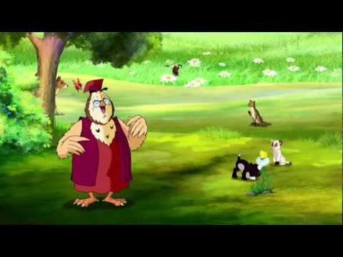 Видео: Уроки живой природы. Бабочки.