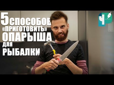 Видео: 5 способов "приготовить" опарыша для рыбалки
