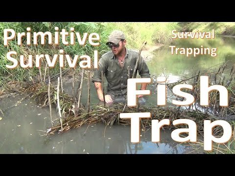 Видео: Примитивная ловушка для рыбы — основы выживания — сборка и ловля