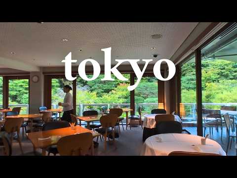 Видео: Обед со звездой Мишлен и выставка Chanel! VLOG о гастрономии и мастерстве в Роппонги