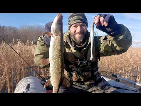 Видео: Ловля щуки на крупный силикон в конце октября,  в Финском заливе на спининг...