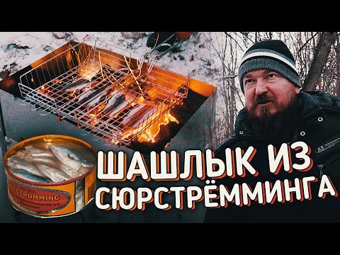 Видео: ШАШЛЫК ИЗ СЮРСТРЁММИНГА