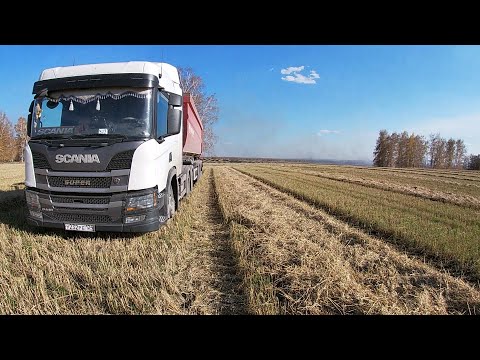 Видео: Уборочная страда 2025 года. Крайние дни . Часть 3