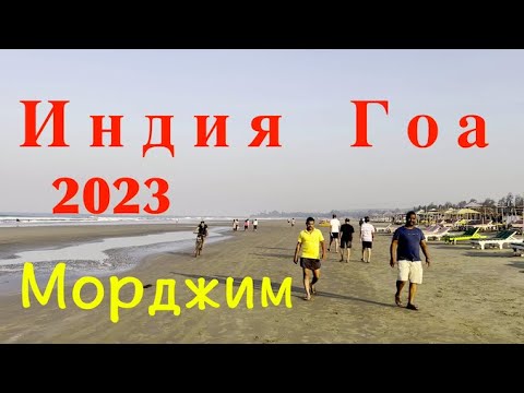 Видео: Индия. Гоа. Морджим 2023
