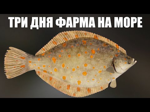 Видео: 3 ДНЯ ФАРМА на Норвежском Море РР4