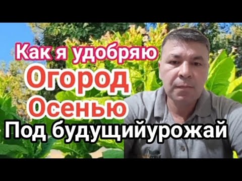 Видео: Мой метод питания и разрыхления огородной земли