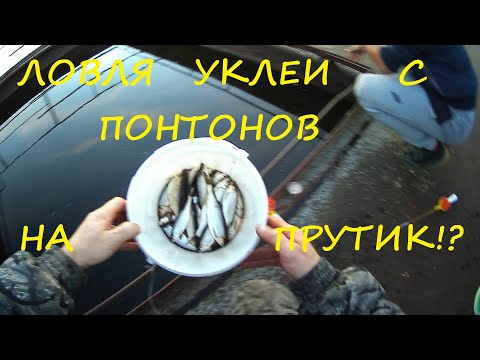 Видео: Как ловить уклею с понтонов на прутик!!!???