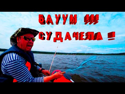 Видео: Нашли место и наловили целый ящик хищной рыбы. Финский залив кишит судаком!