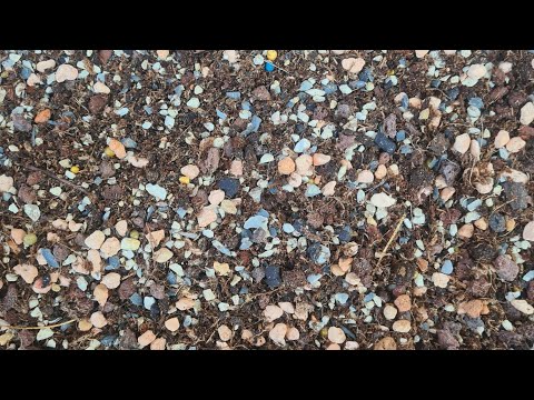 Видео: Грунт для Сансевиерии, Хойи и др