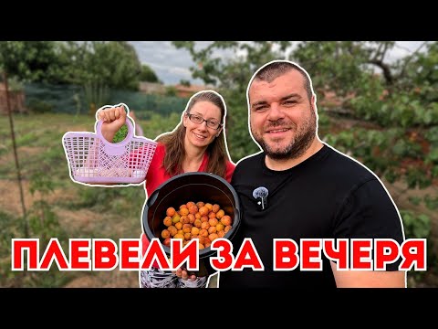 Видео: Ядем каквото намерим в градината | ЖИВОТ НА СЕЛО