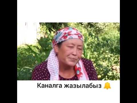 Видео: Мойнуна дөңгөлөк илинген аял окуянын чоо жайын айтты!!!