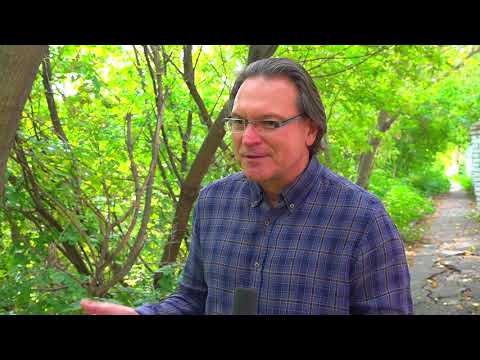 Видео: Опасность оползня в Почаинском овраге