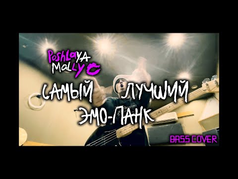 Видео: Пошлая Молли - Самый лучший эмо панк | BASS COVER by BILLER