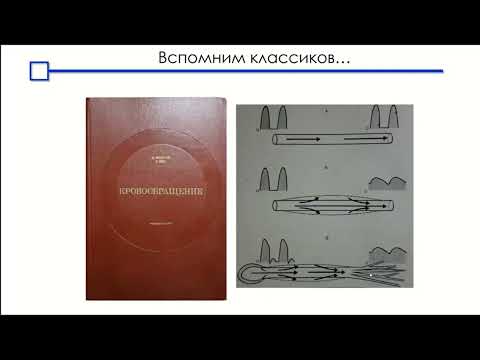 Видео: Измерение сердечного выброса   Аксельрод Б.А. 2022
