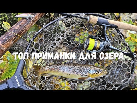Видео: Ловля Форели на Волшебном Озере! Полезные советы, Приманки, Проводки! #спиннинг #форель #рыбалка