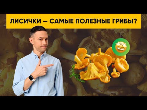 Видео: ЛИСИЧКИ | САМЫЕ ПОЛЕЗНЫЕ ГРИБЫ?