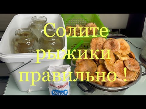 Видео: Самый правильный рецепт засолки рыжиков, как солили наши прадеды! Рыжики- Царские грибы!маринованные